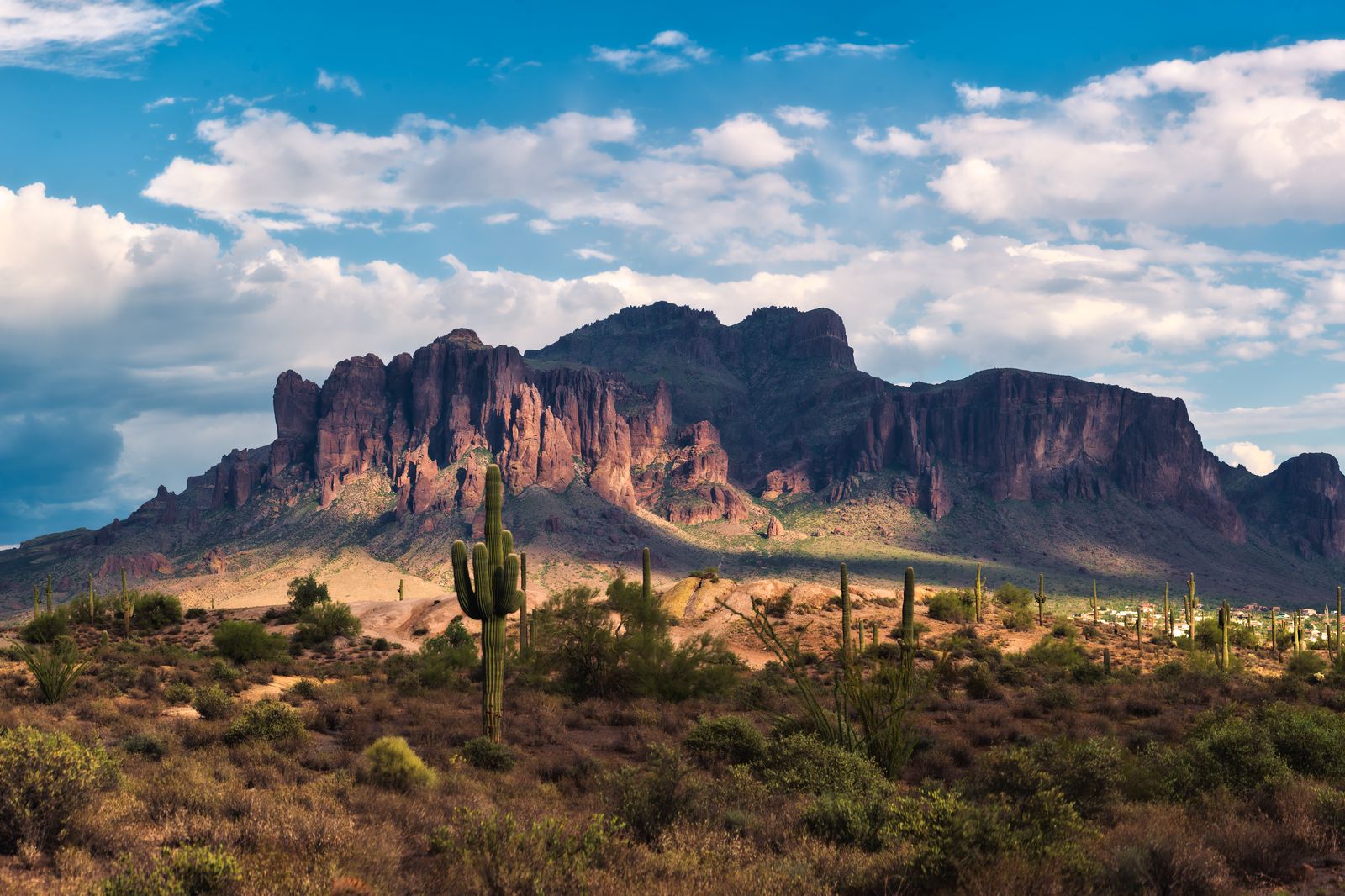 Superstition Mountains and saguaro under a blue sky near Gold Canyon, Arizona